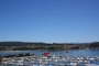 Clients who stay at this Holiday villa have free mooring at Combarro port